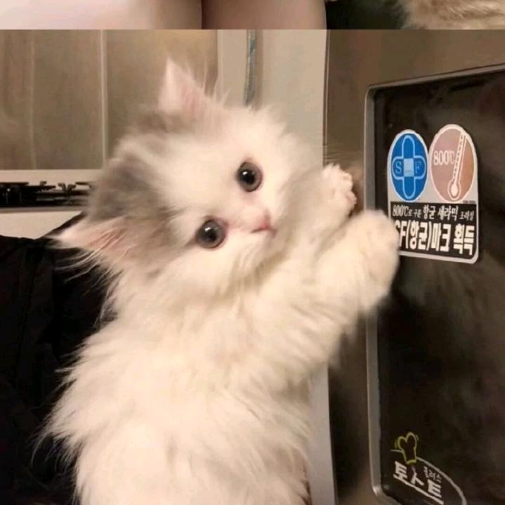 换个心情
