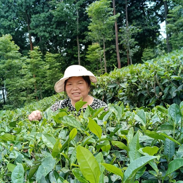 王姐茶叶渔具