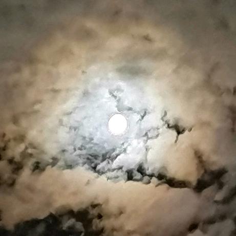 花花，你就花呗