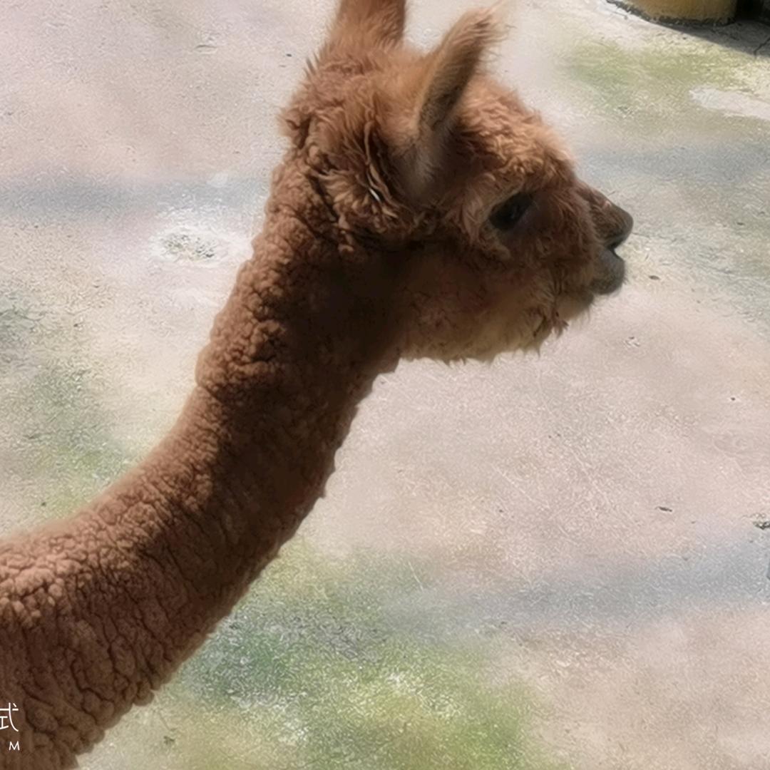 曾经的好友