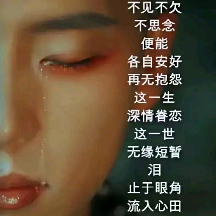 洋葱催人泪，因你剥它心