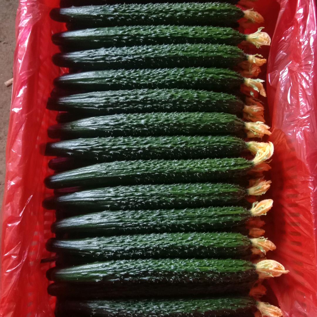 手捧阳光