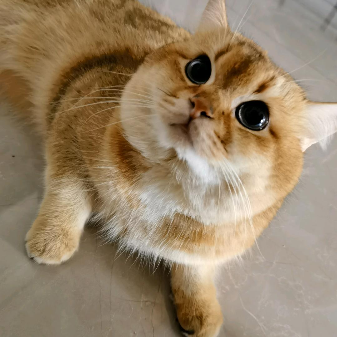 姑且