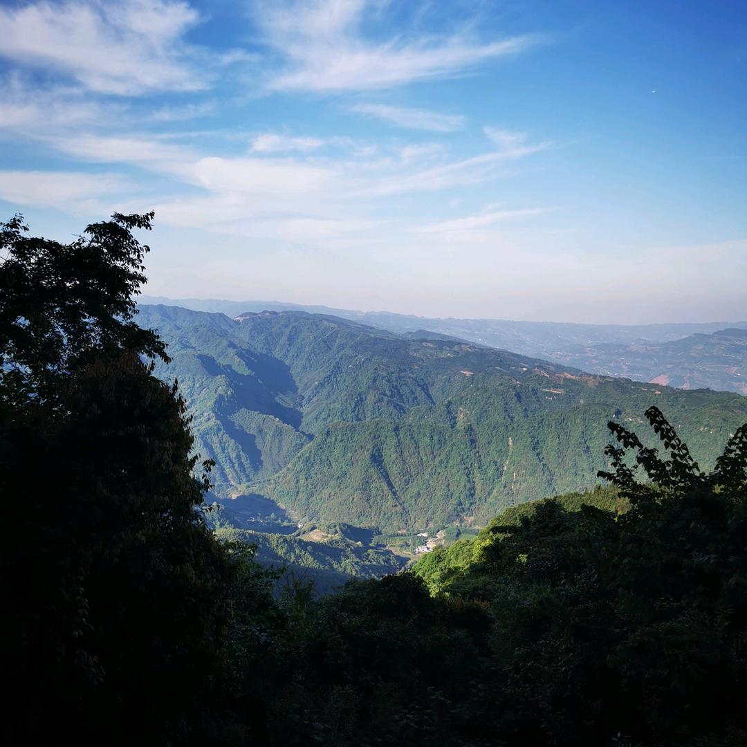 小杨