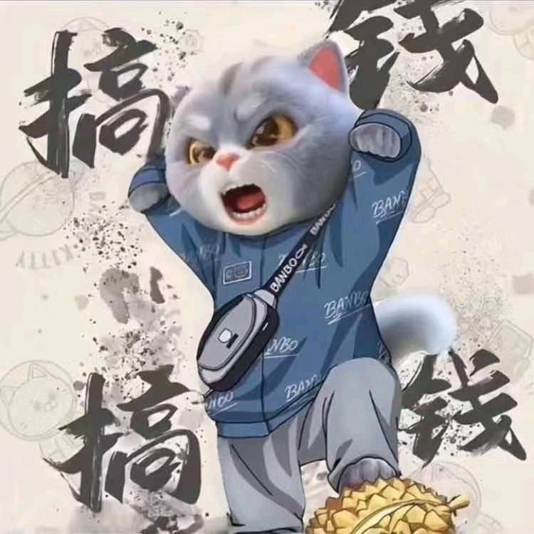 小魏在努力