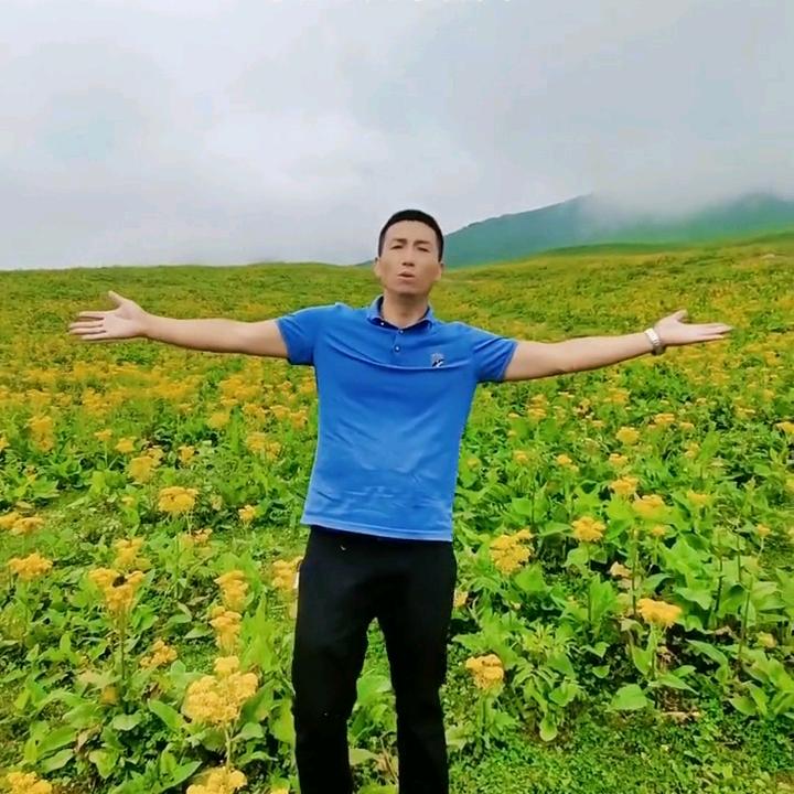 网情追忆