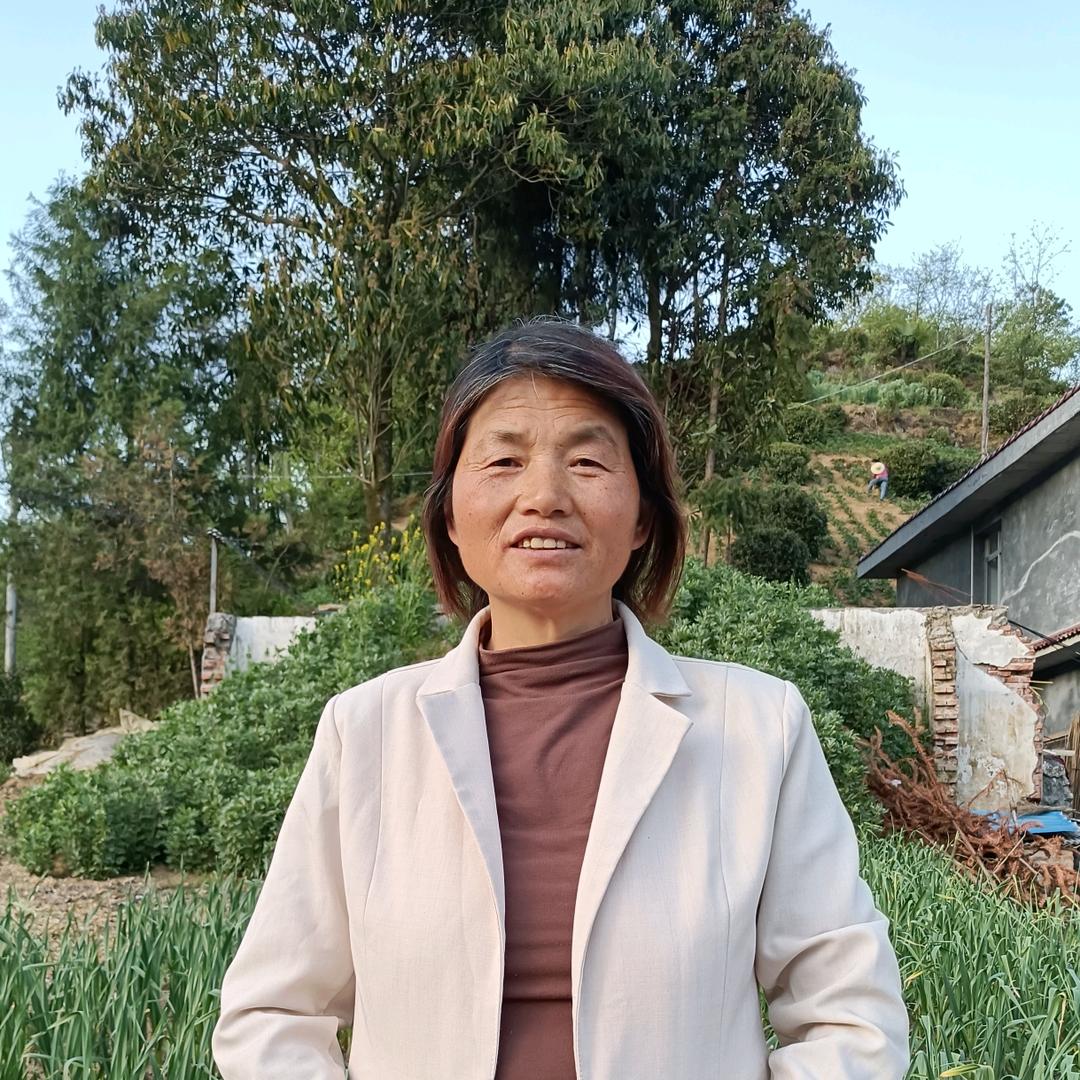 年年梦（晚上7：40开播）