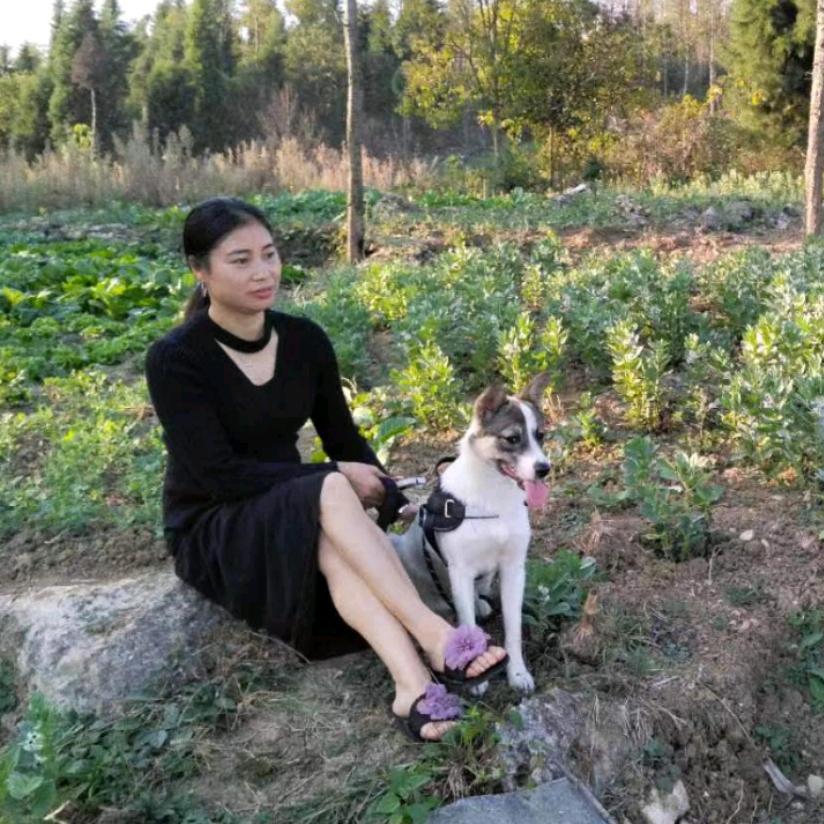 ˗ˋˏ♡ˎˊ˗ 杨姐