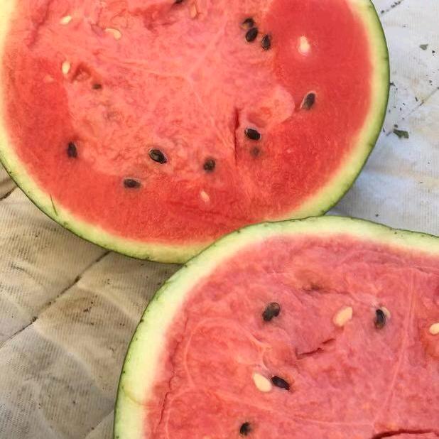 一本万哥？小庄