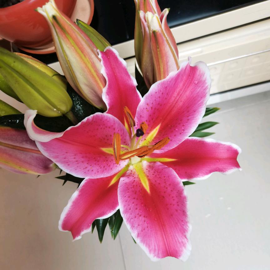 小小只