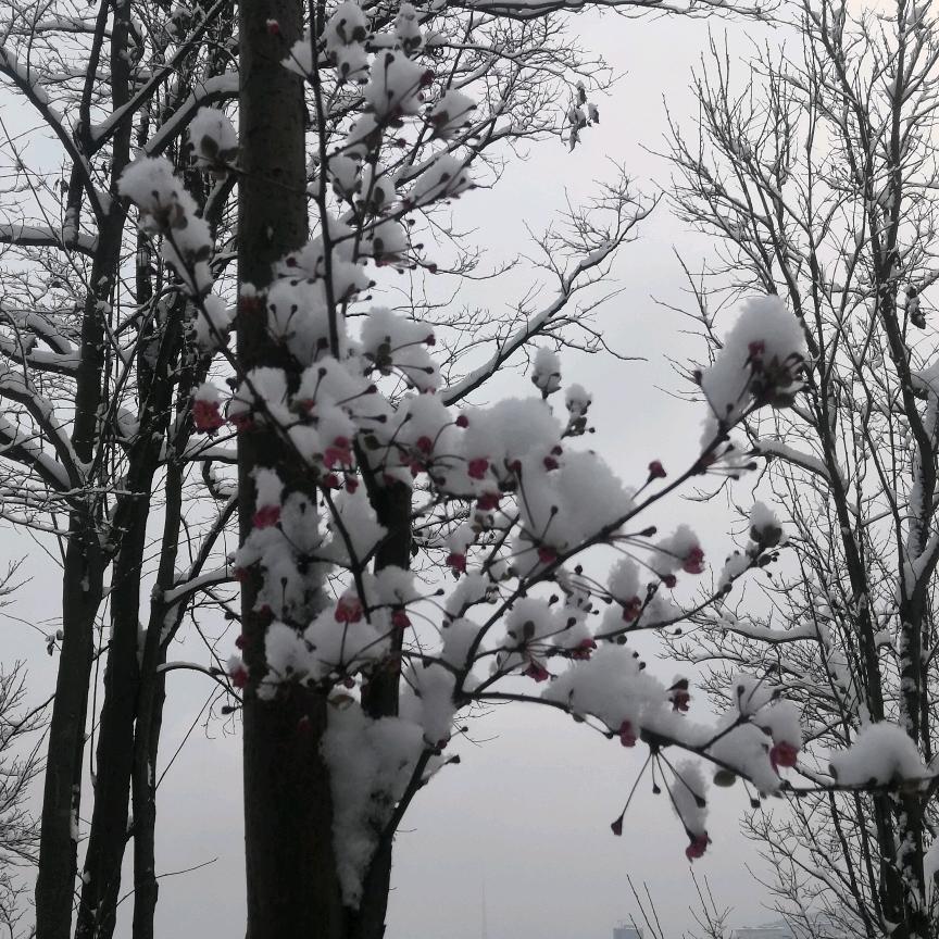 我在泰国当老师