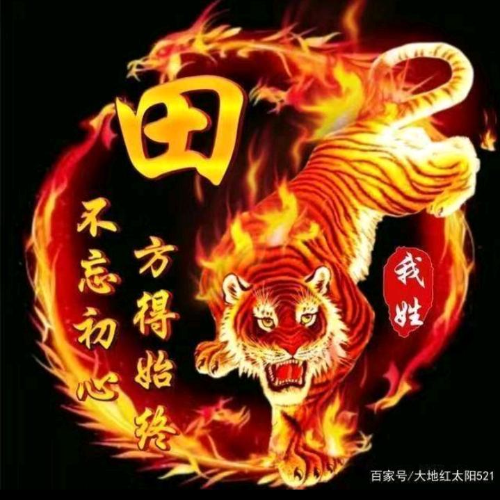 顶子