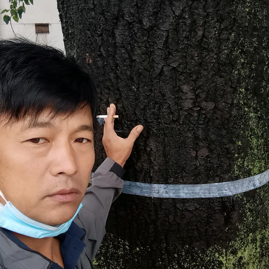 F潇洒人生