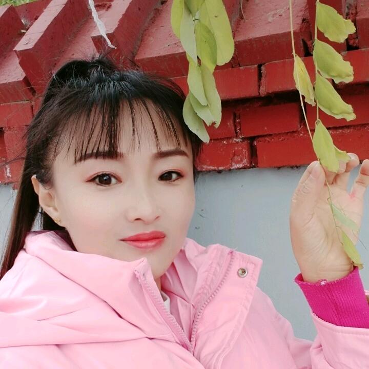 丽菲