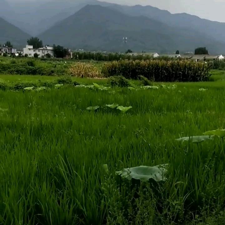 用户2387322836850