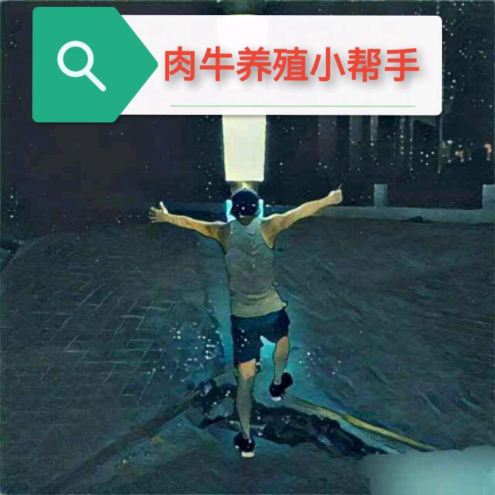 肉牛养殖小帮手