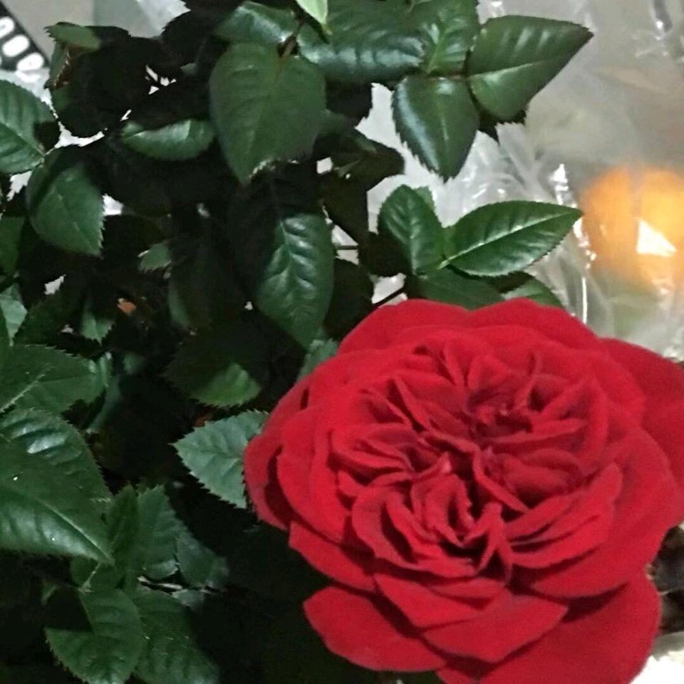 春暖花开广北三分场煤业