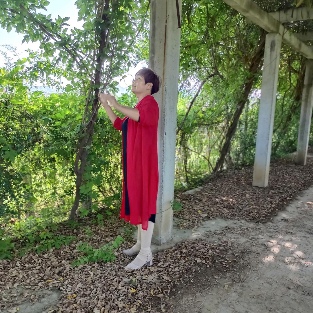 县医院门口老字号吴姐浆面条