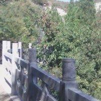 凡塵