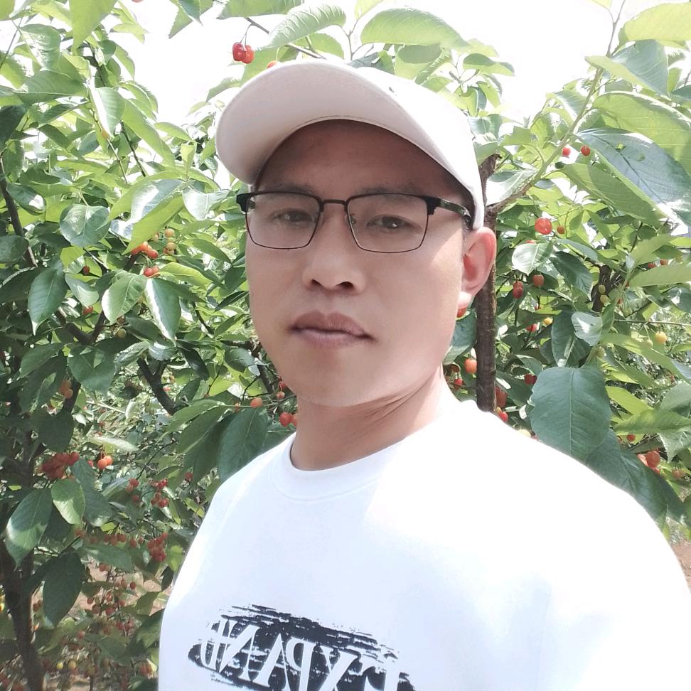 谁拿流年乱了哥的浮生