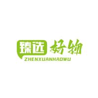 臻选好物