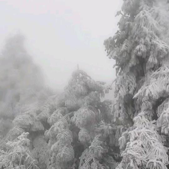 贰郎、神ヤJingゞ🌈