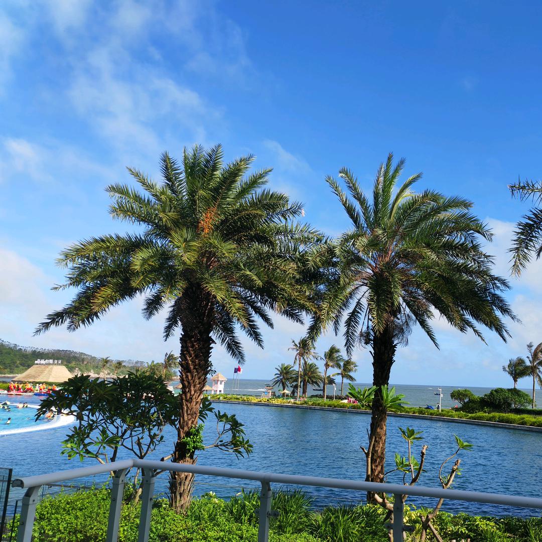 顶峰