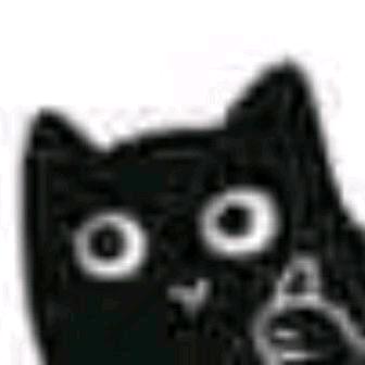 小喵日记🐱