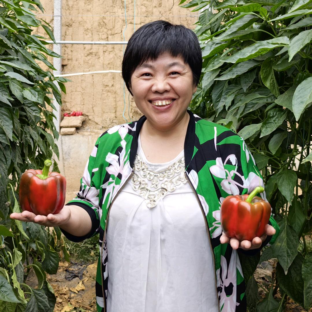 刘春香讲蔬菜