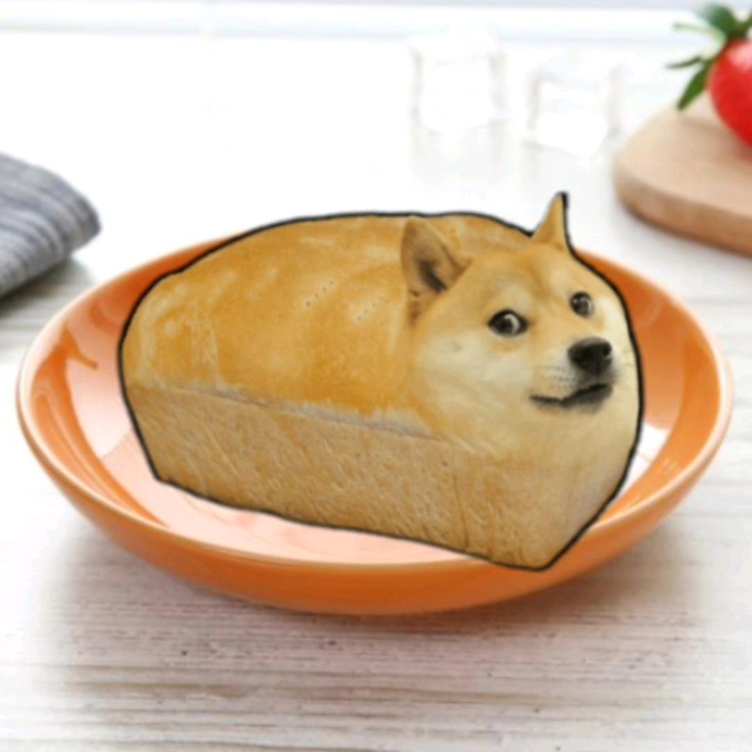 一只面包狗头