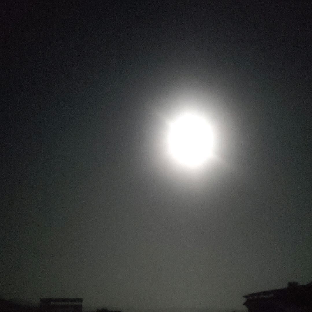 ༺ཌༀ余生释爱ༀད༻