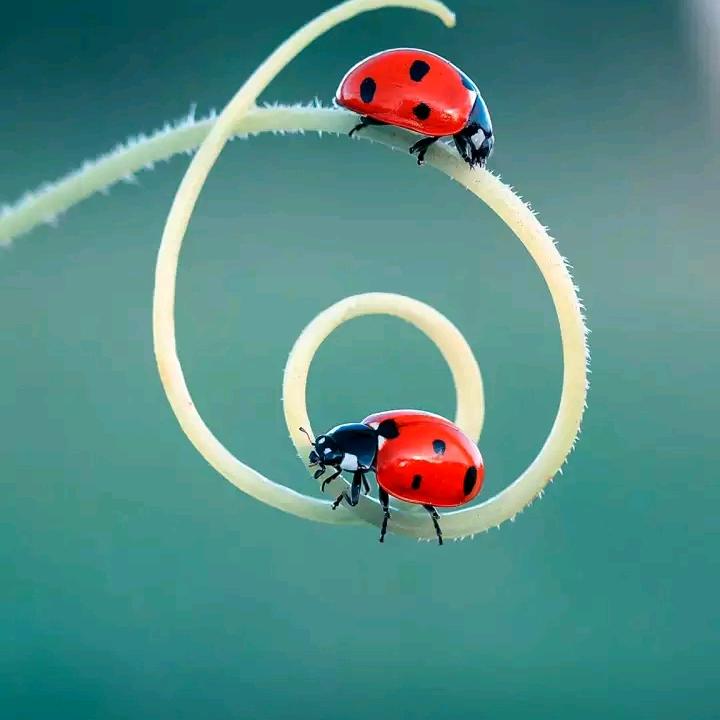 手牵手