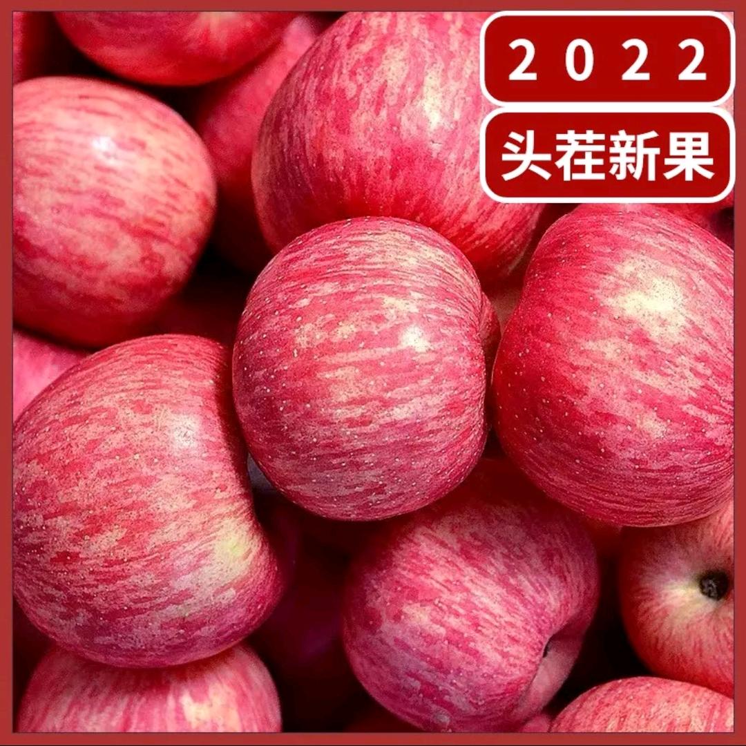陆地巡洋舰