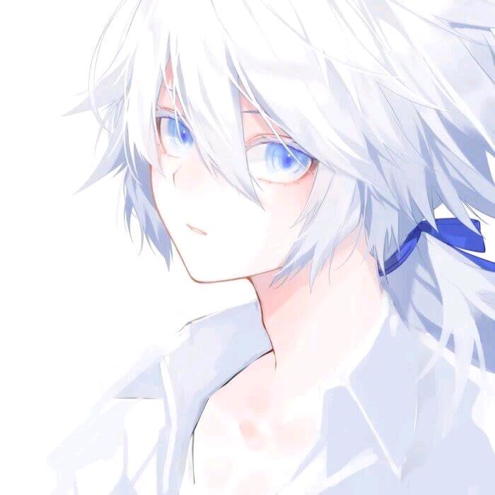 (●.●)