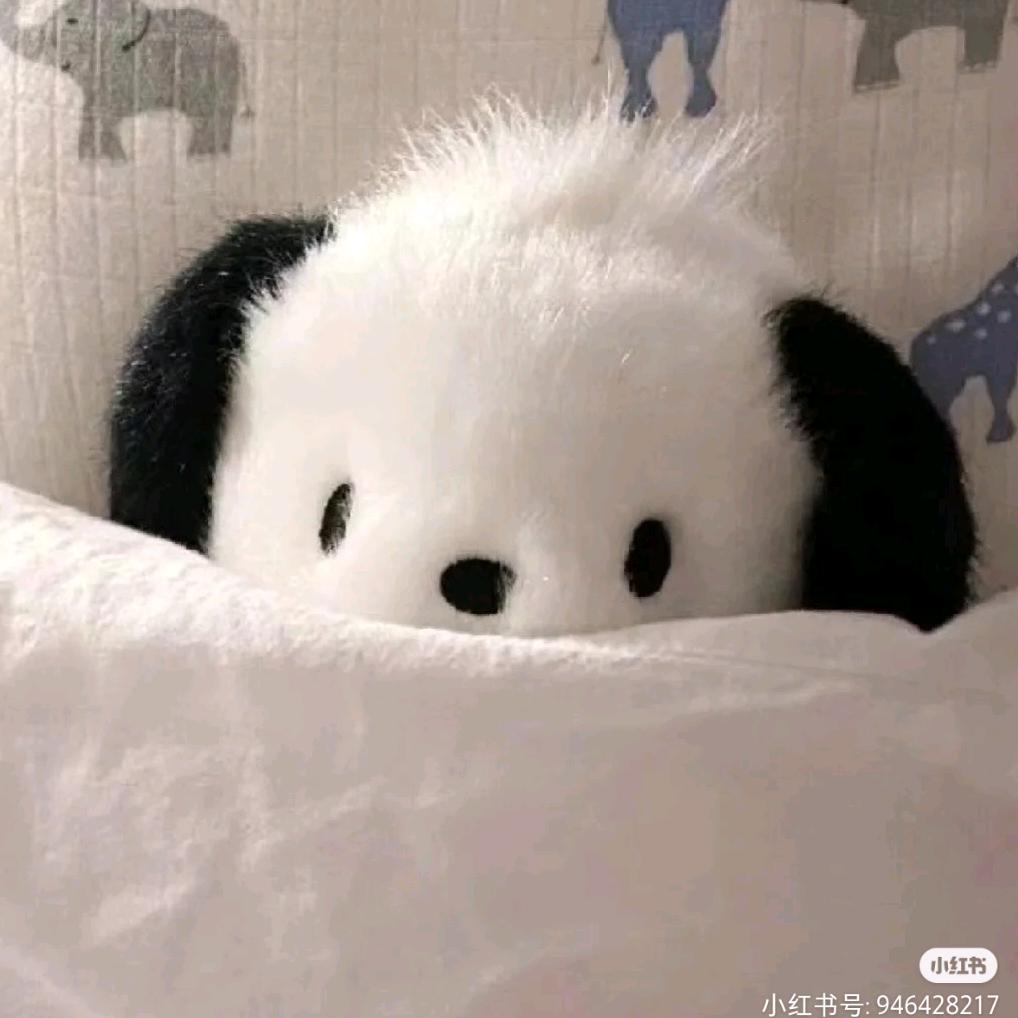 就卖个红薯吧
