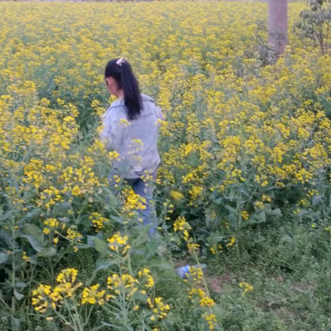 💞ℒᎭℯ⃝余生ᩚ安ᮨ໌້好࿐