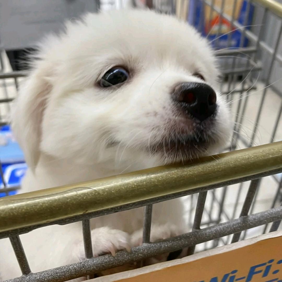 hh.H
