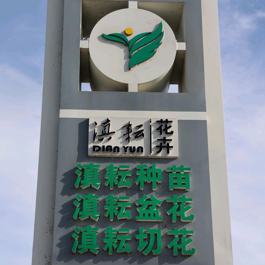 滇耘花卉