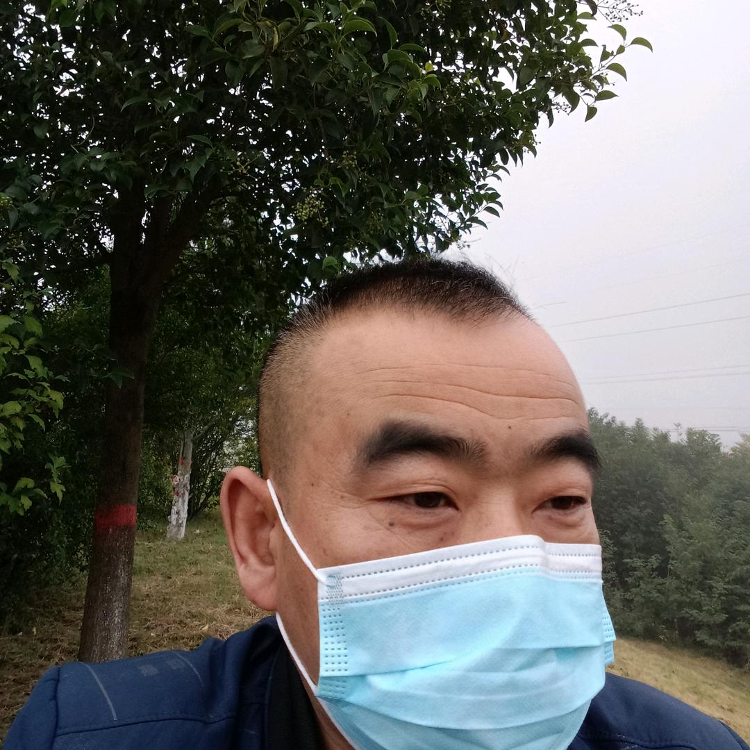 斜阳