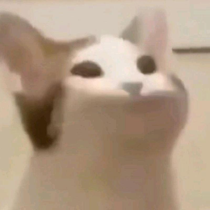 看淡一切的生活
