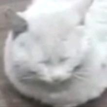 再来二十🥣