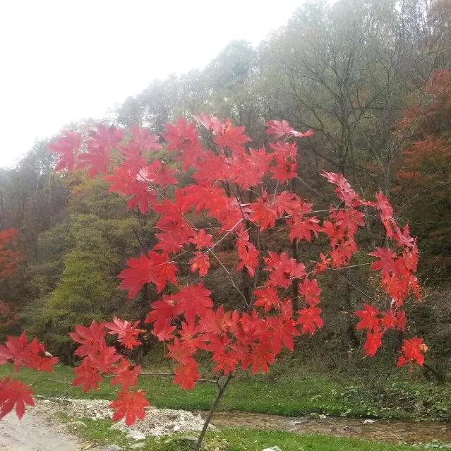 自勤