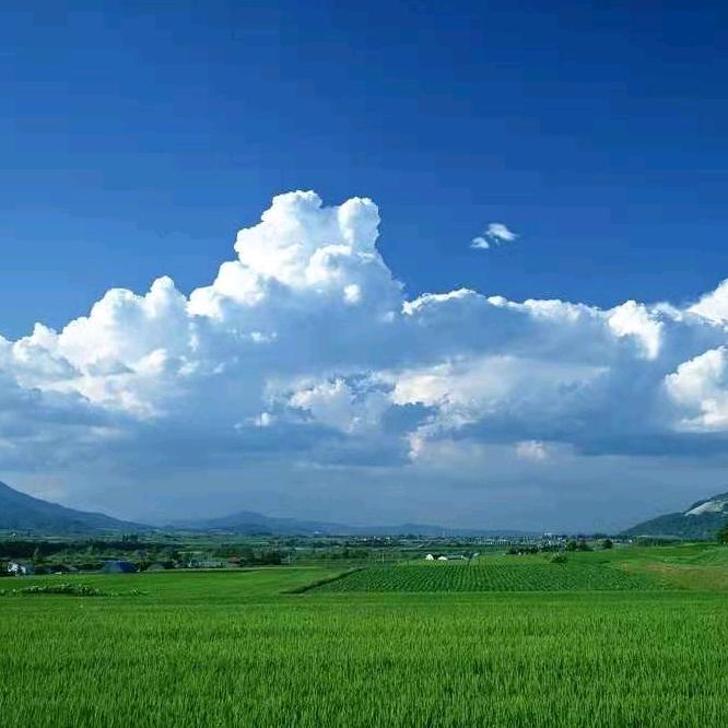 经典影视怀旧音乐阁