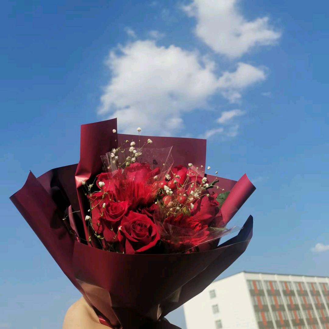 纸鸢飞路