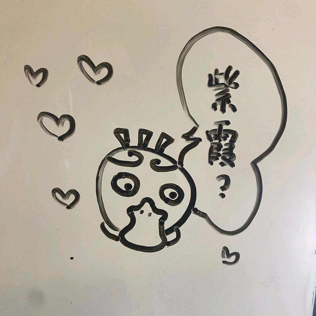 暴躁老鸽