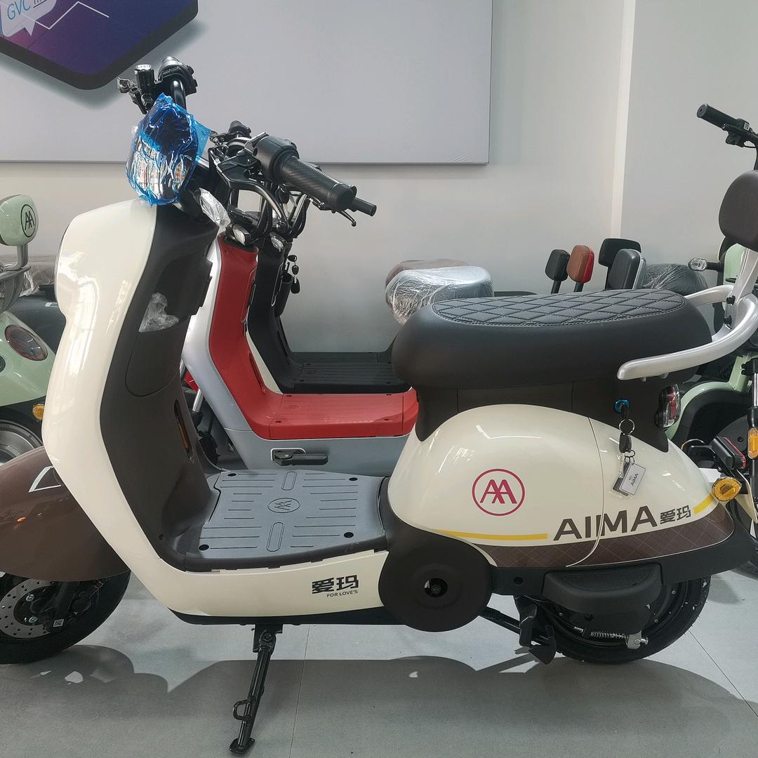 德州开发区付庄爱玛店