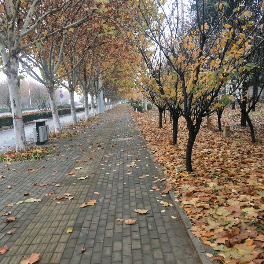 禹州东刘庄加工面皮辣片<回族>