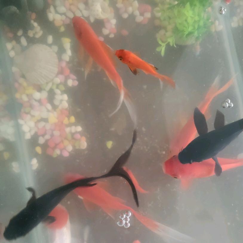 靓颜美容恒大店恒大影城644附128