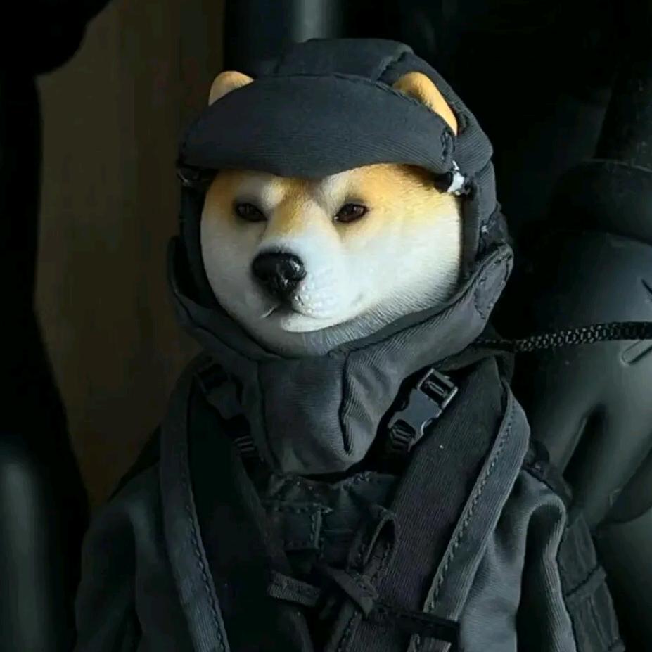 你的骑士