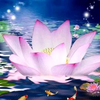 菩提心语